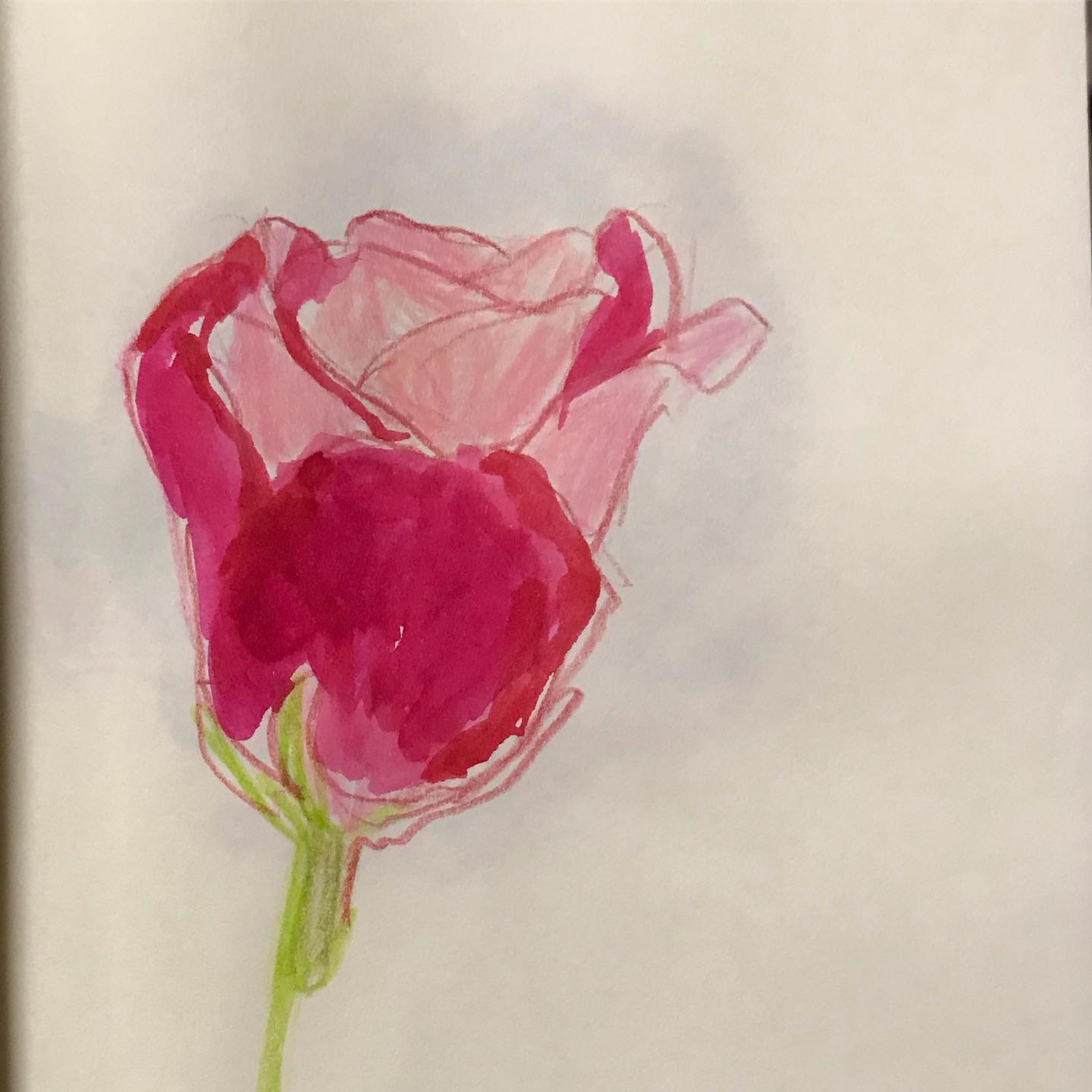 #rose #イラスト #薔薇-1