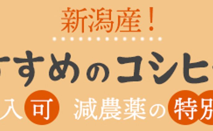 マーケティング、サンプル