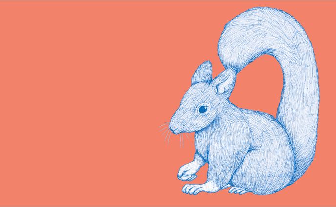 動物のイラスト（ややリアル）