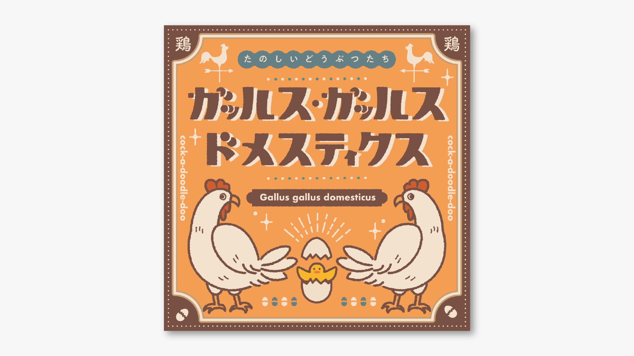 ガッルス・ガッルス・ドメスティクス-1