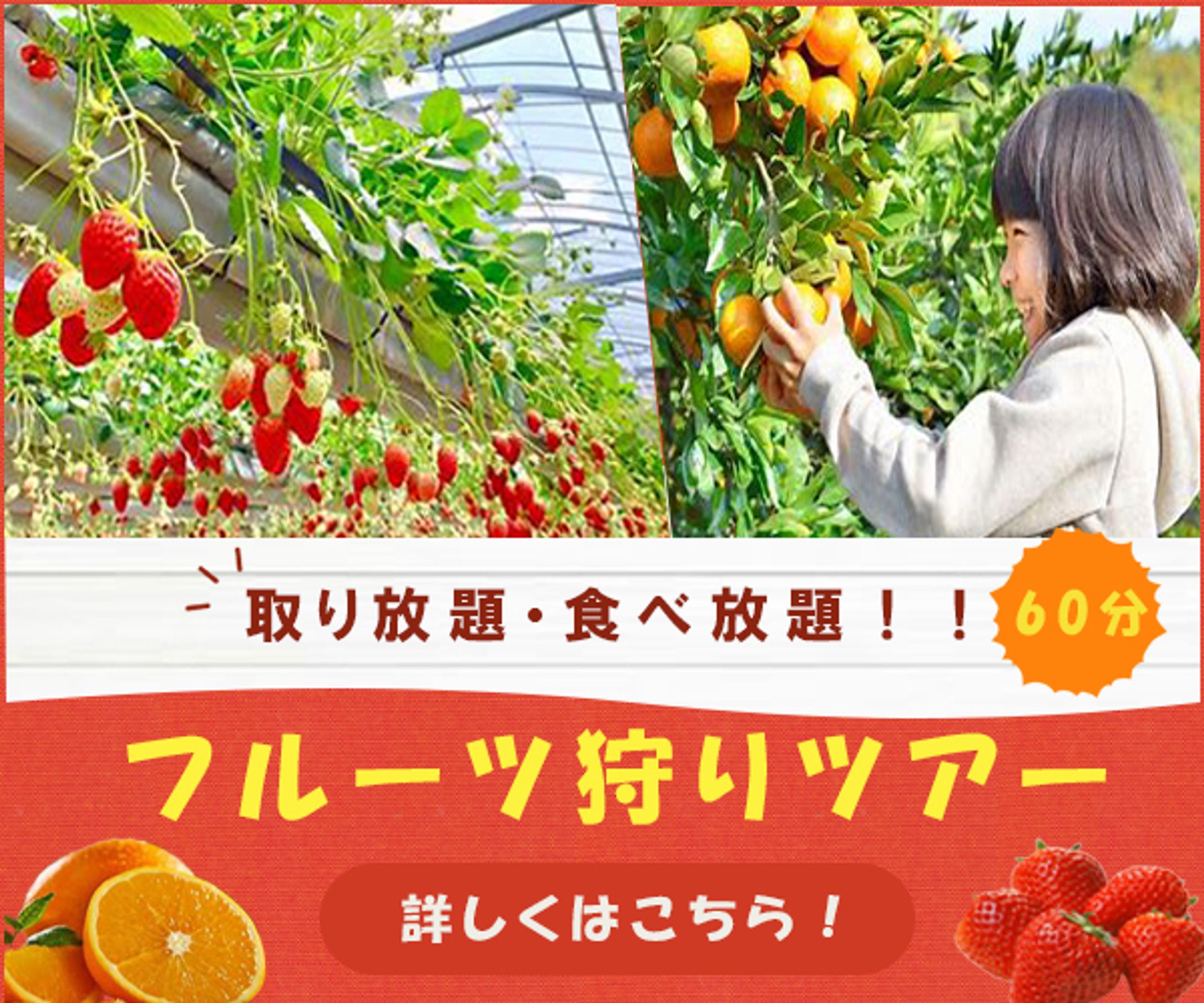 フルーツ狩り-1