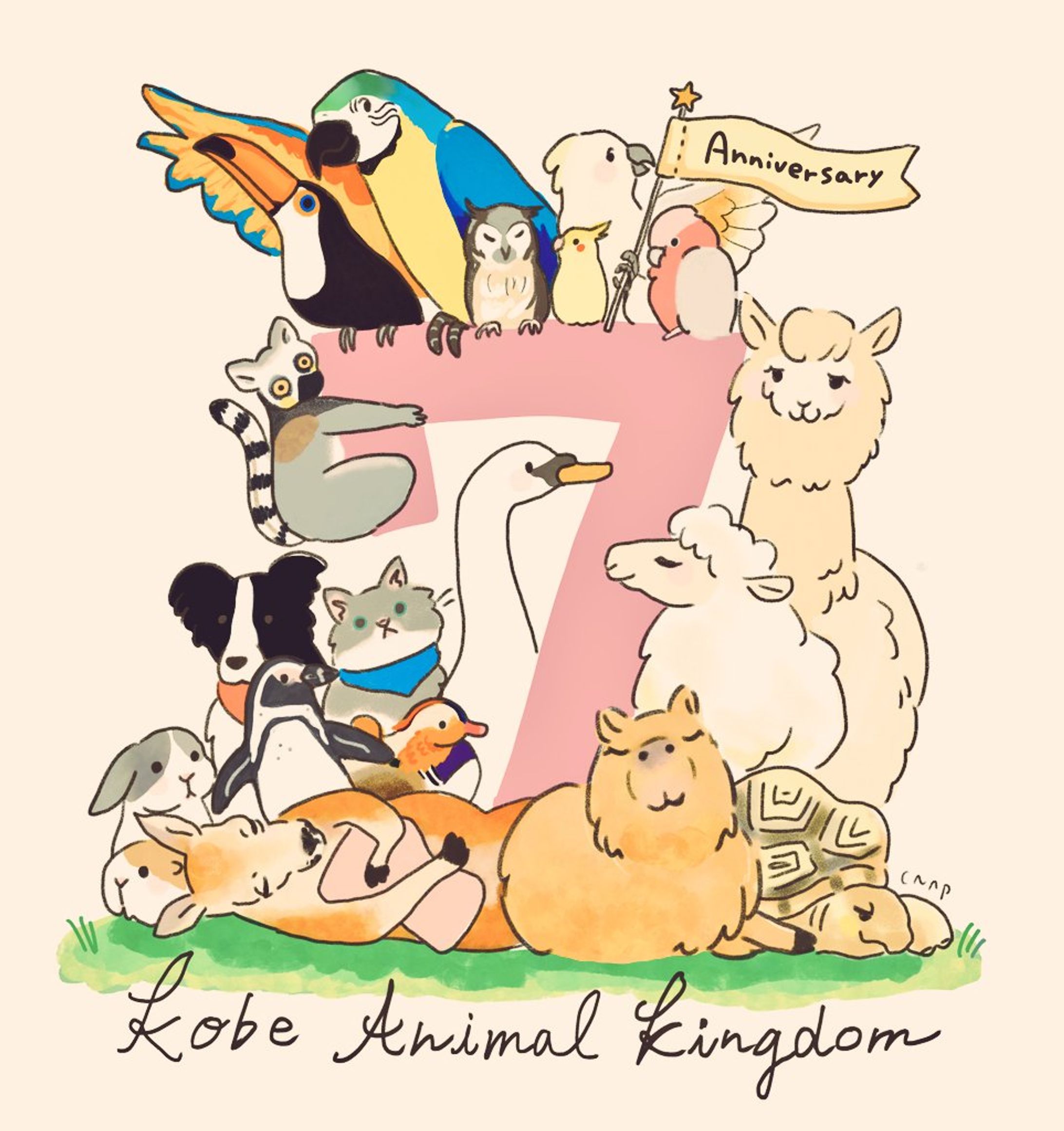 動物-1