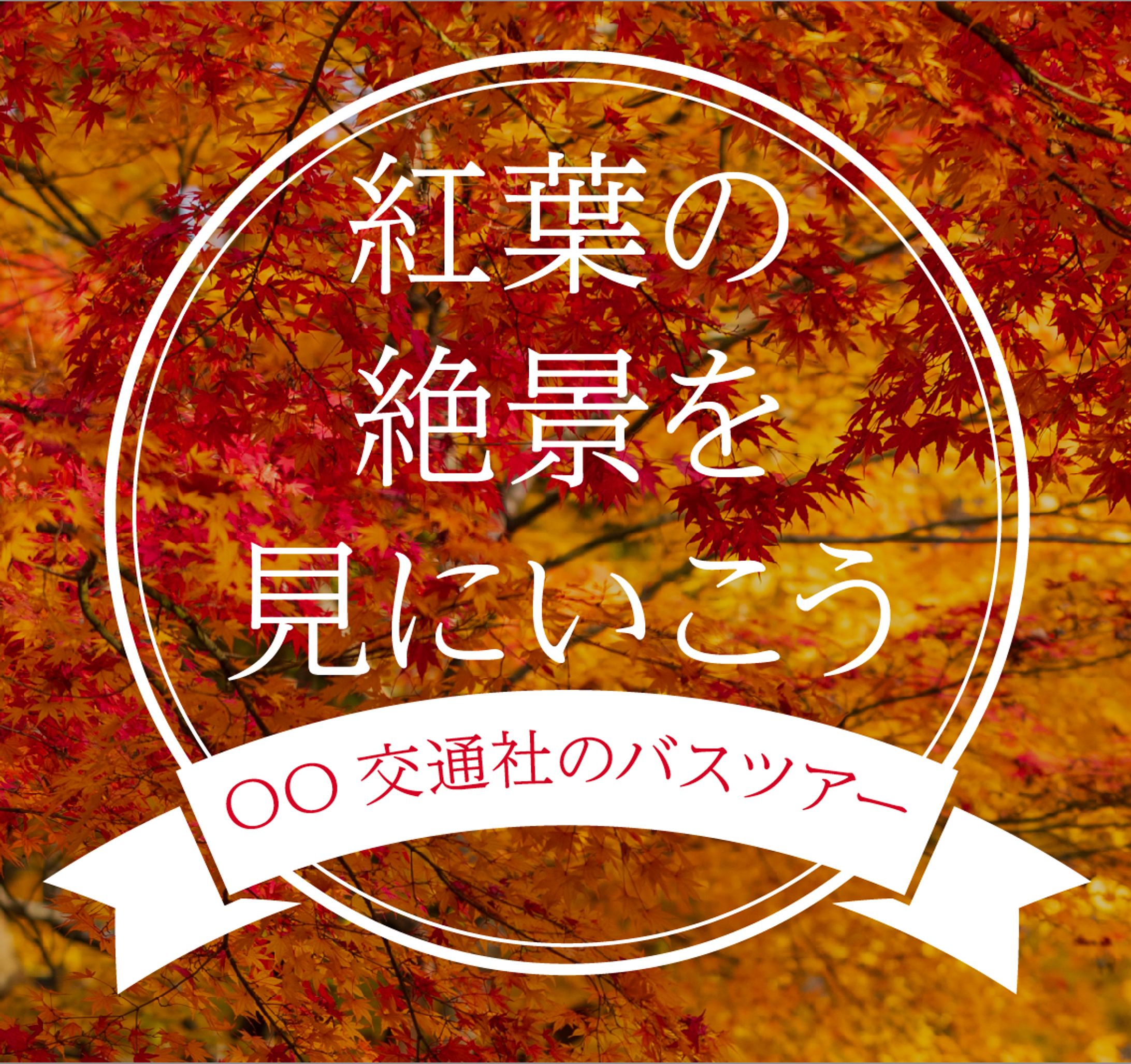 バスツアー（紅葉）-1