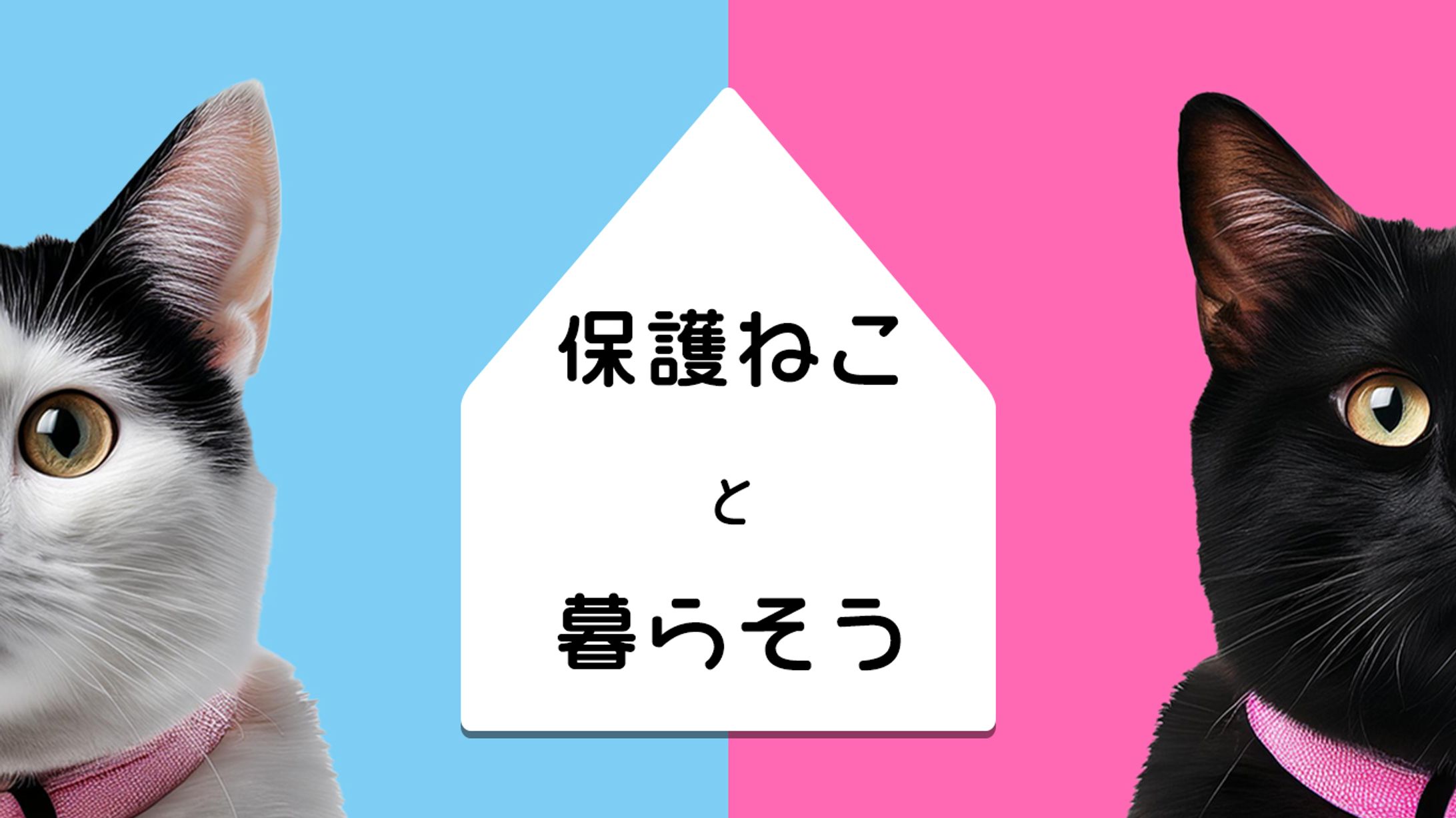 保護猫と暮らす-1