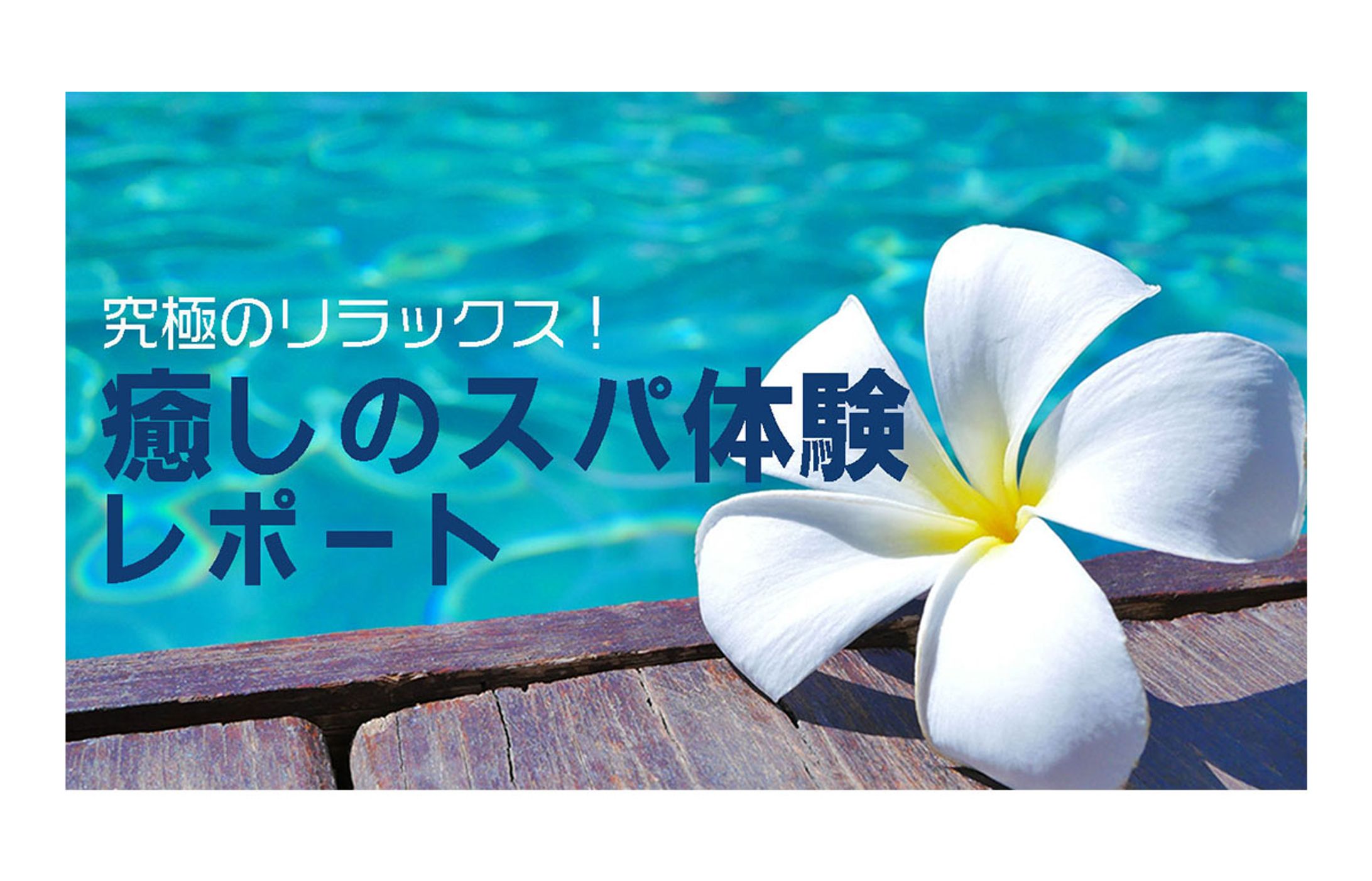 アイキャッチ-1
