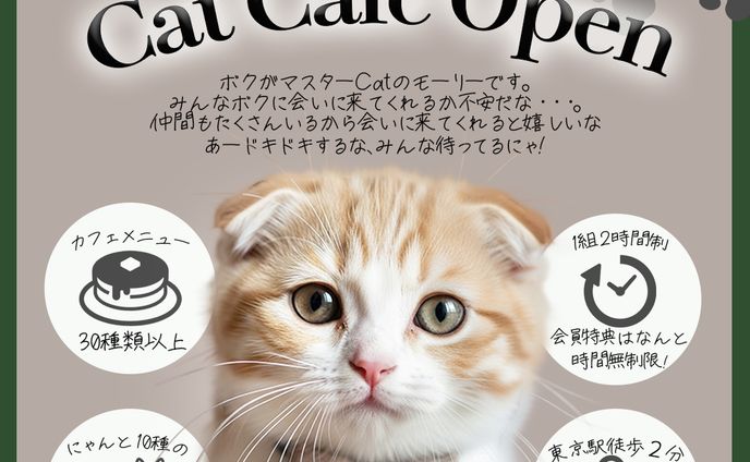 Cat Cafe OPENバナー