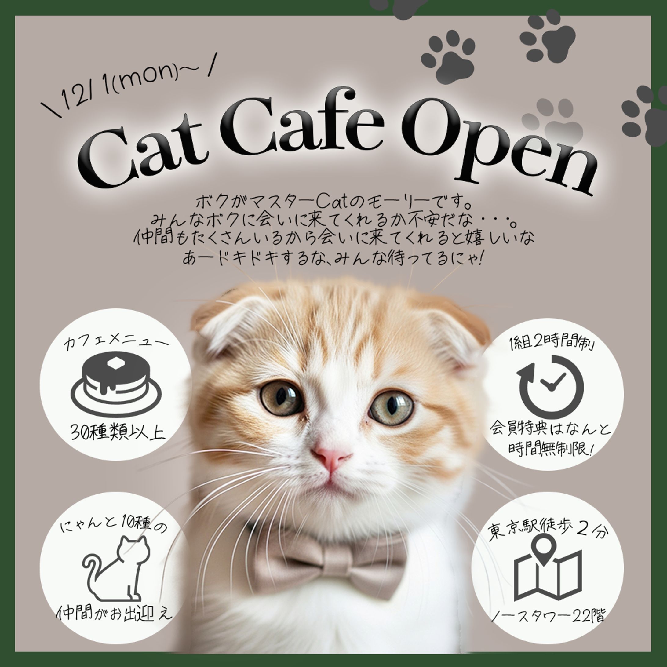 Cat Cafe OPENバナー-1