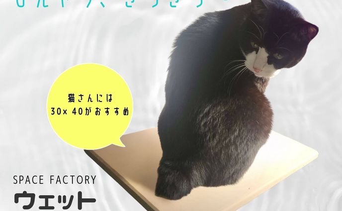 バナー、プロトタイプ