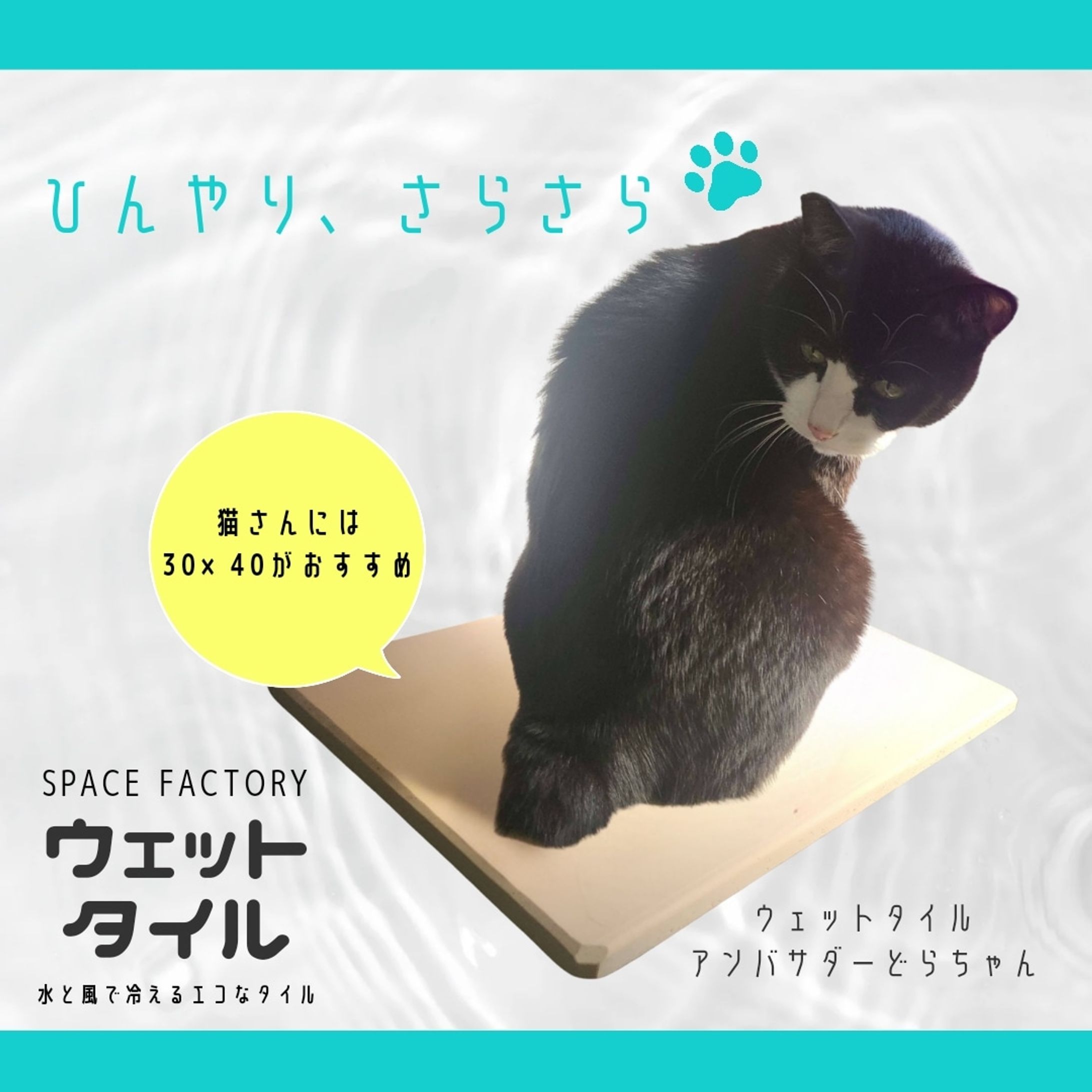 ペット用のウェットタイルのバナー-1