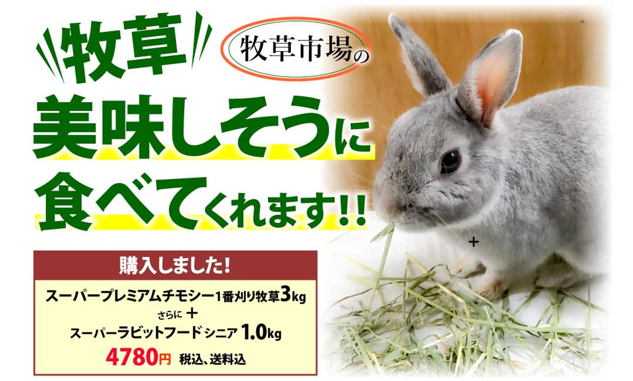 マペット様の牧草-1