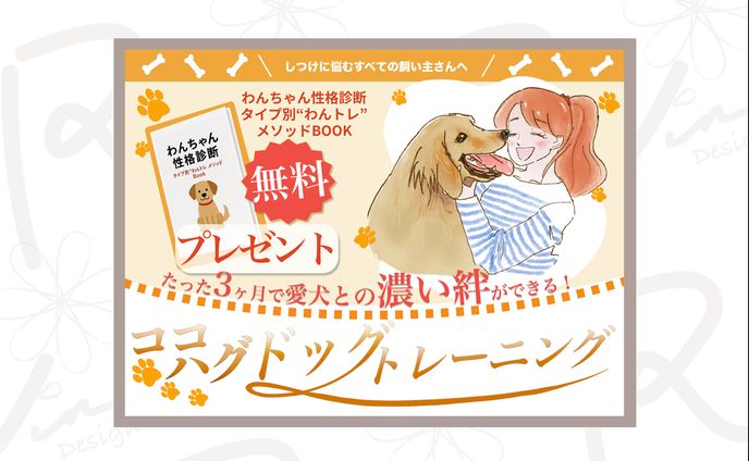 foriioドッグトレーニングバナー