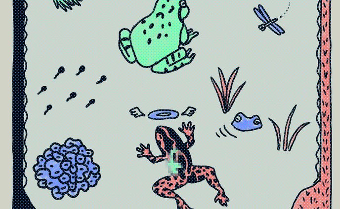 田植えの思い出
#illustration  #art  #イラストレーション  #習作  #カエル
