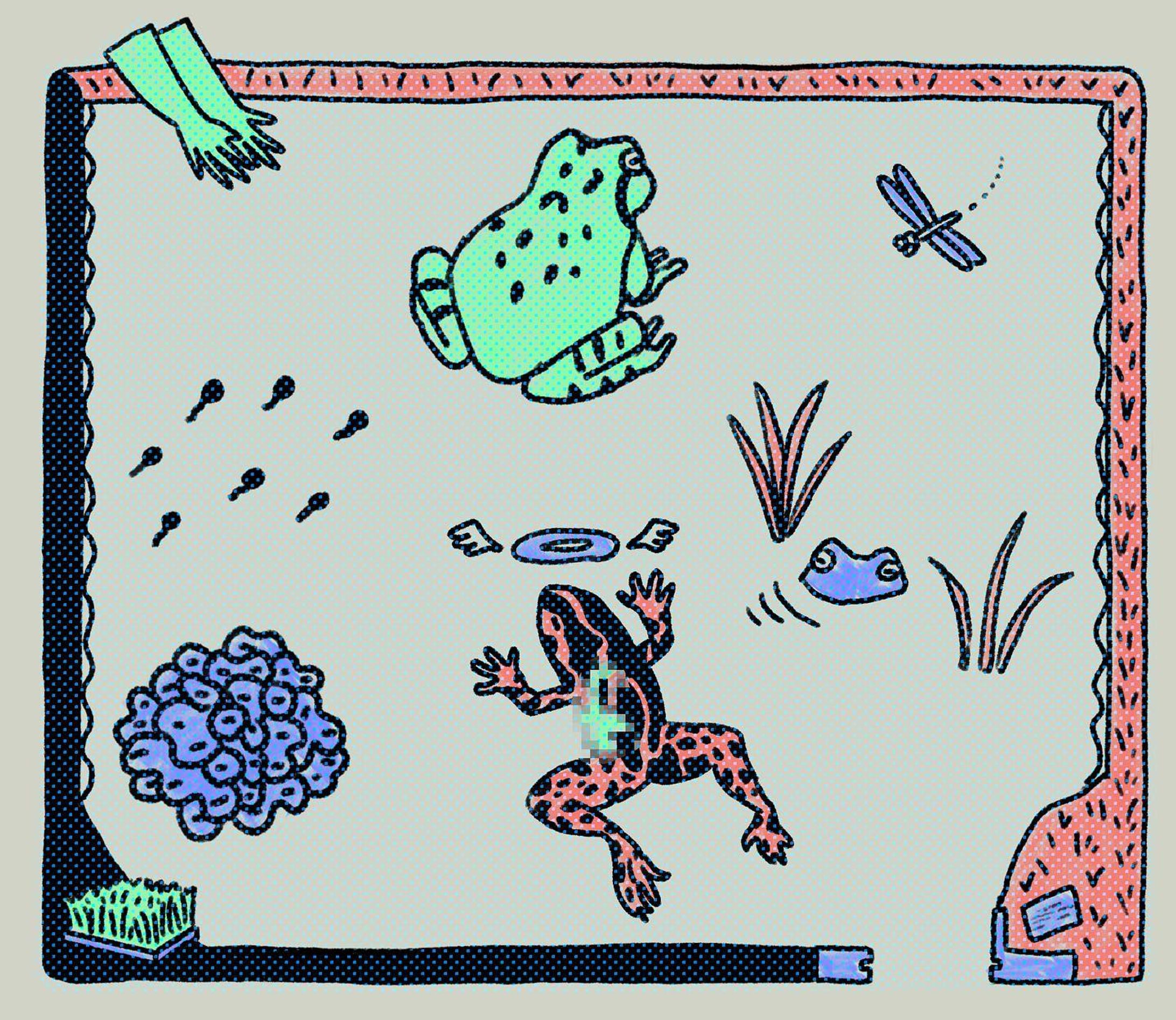 田植えの思い出
#illustration  #art  #イラストレーション  #習作  #カエル-1