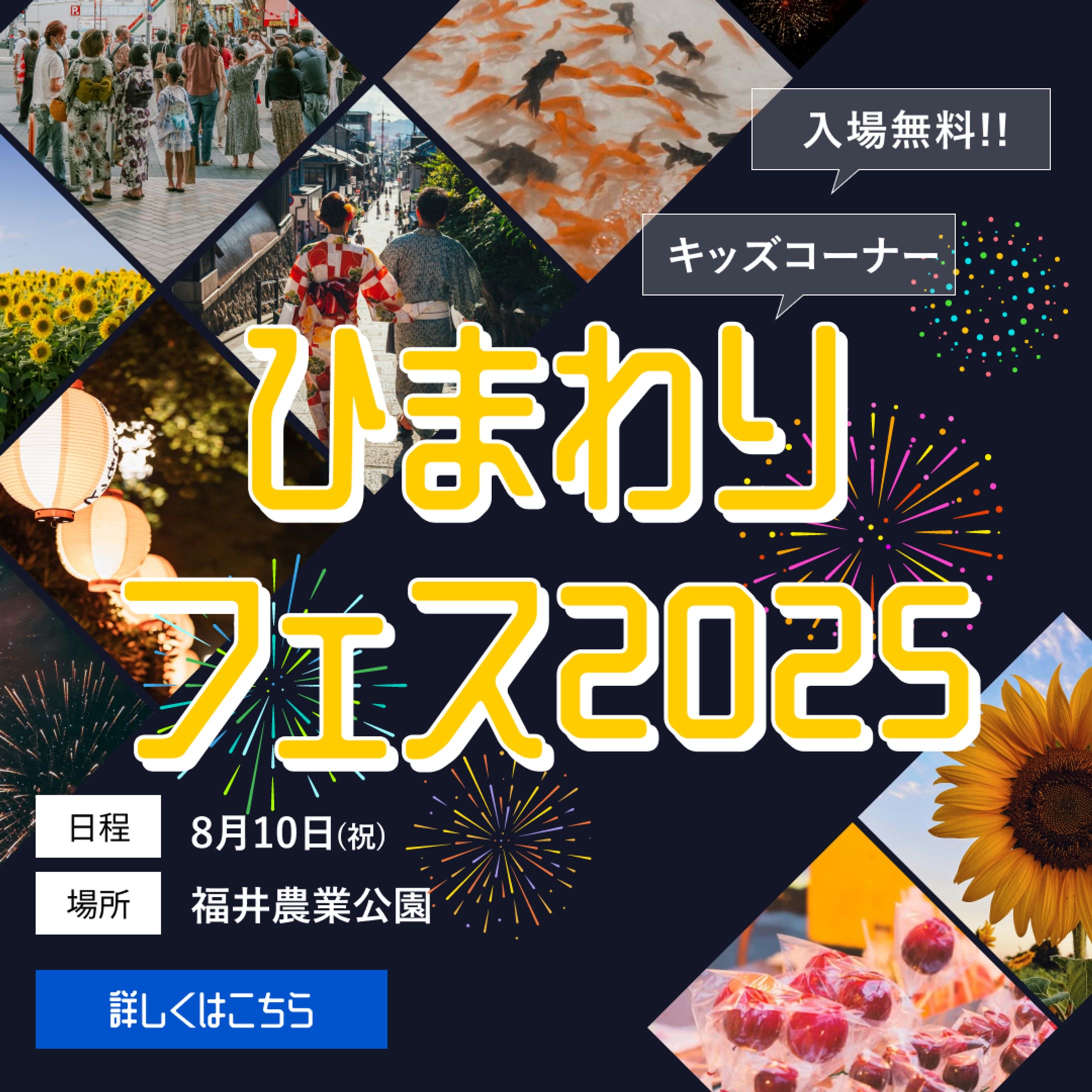 ひまわり-1