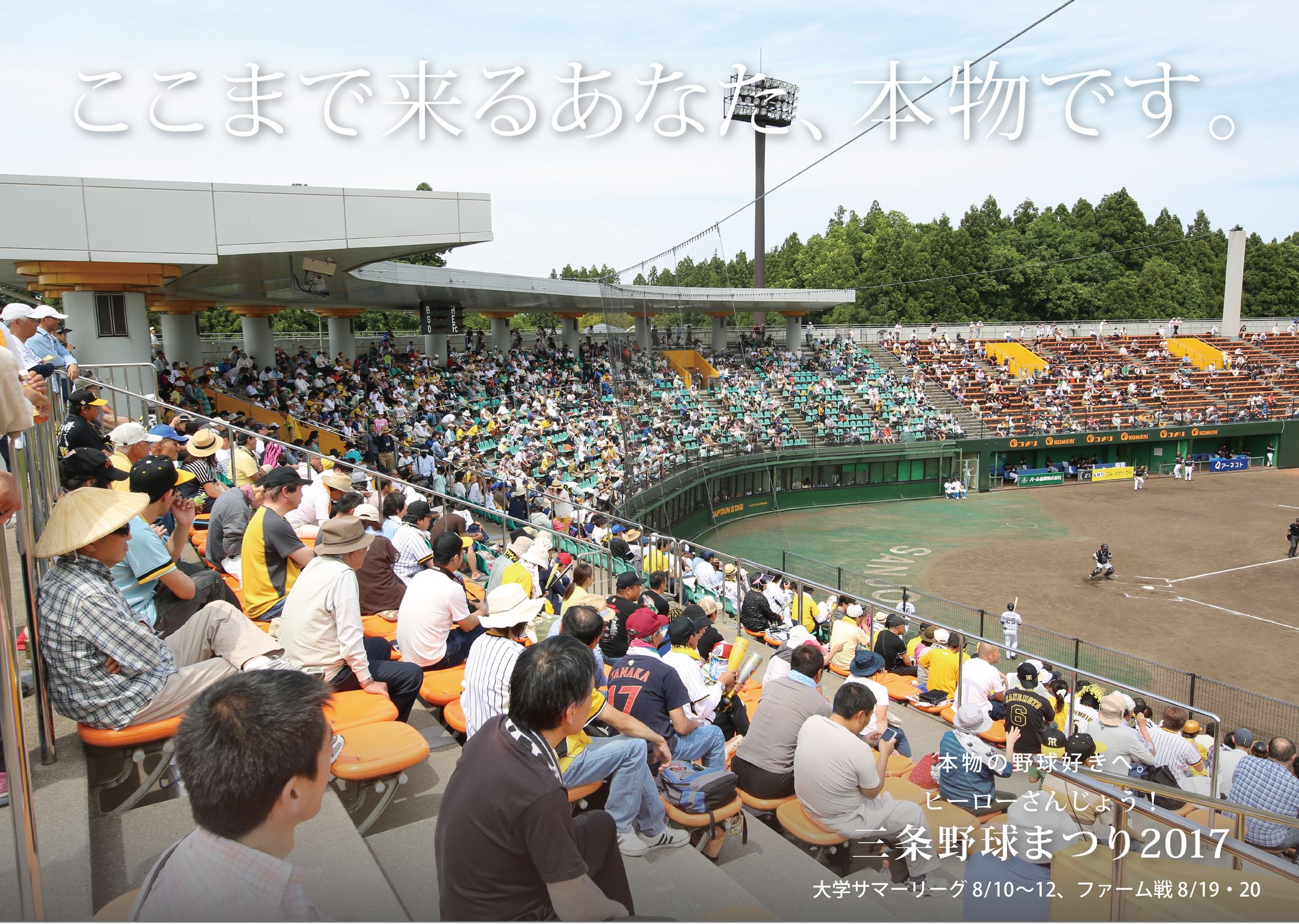 「第３回大学野球サマーリーグ」ポスター-1