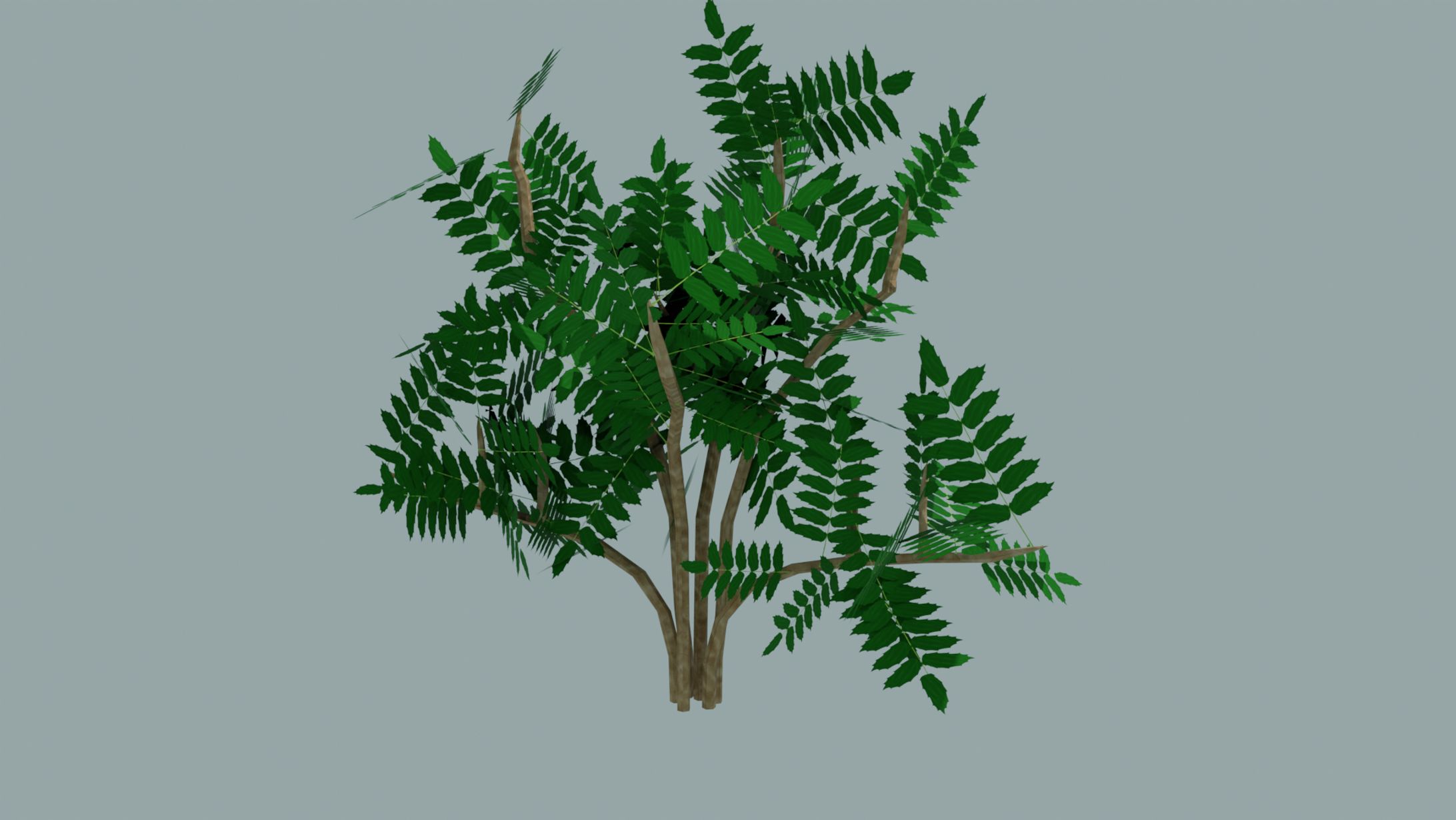 BucheA-1