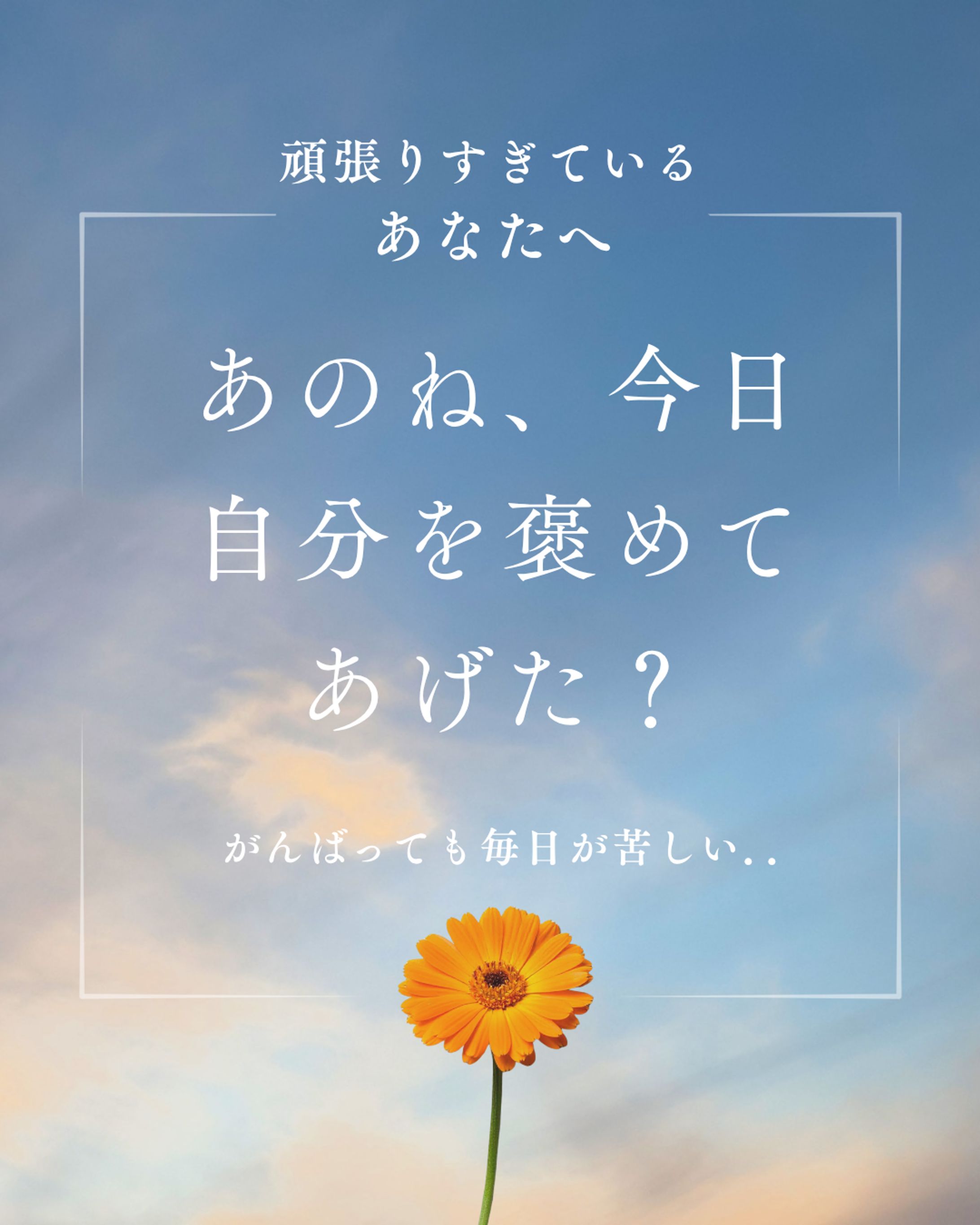 Instagramリール動画-1