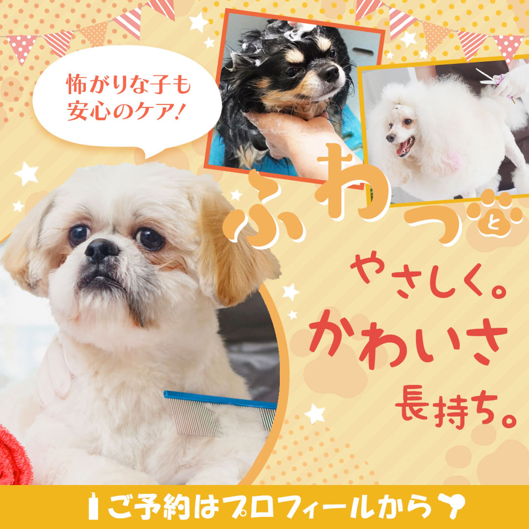 Instagram投稿用バナー：ペットサロン-1