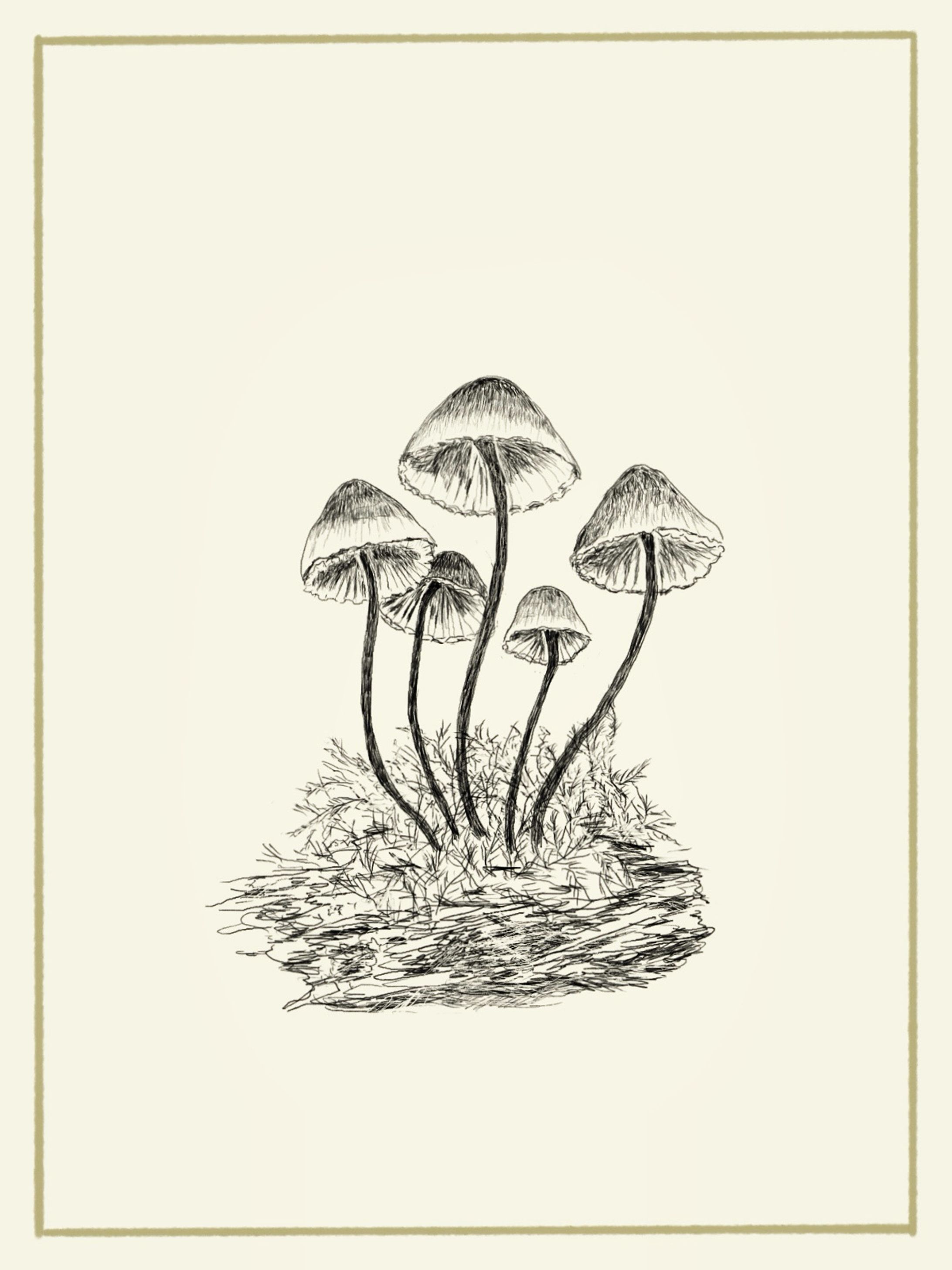 ひっそりときのこ-1