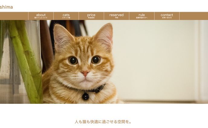 【サイト】架空の保護猫カフェ
