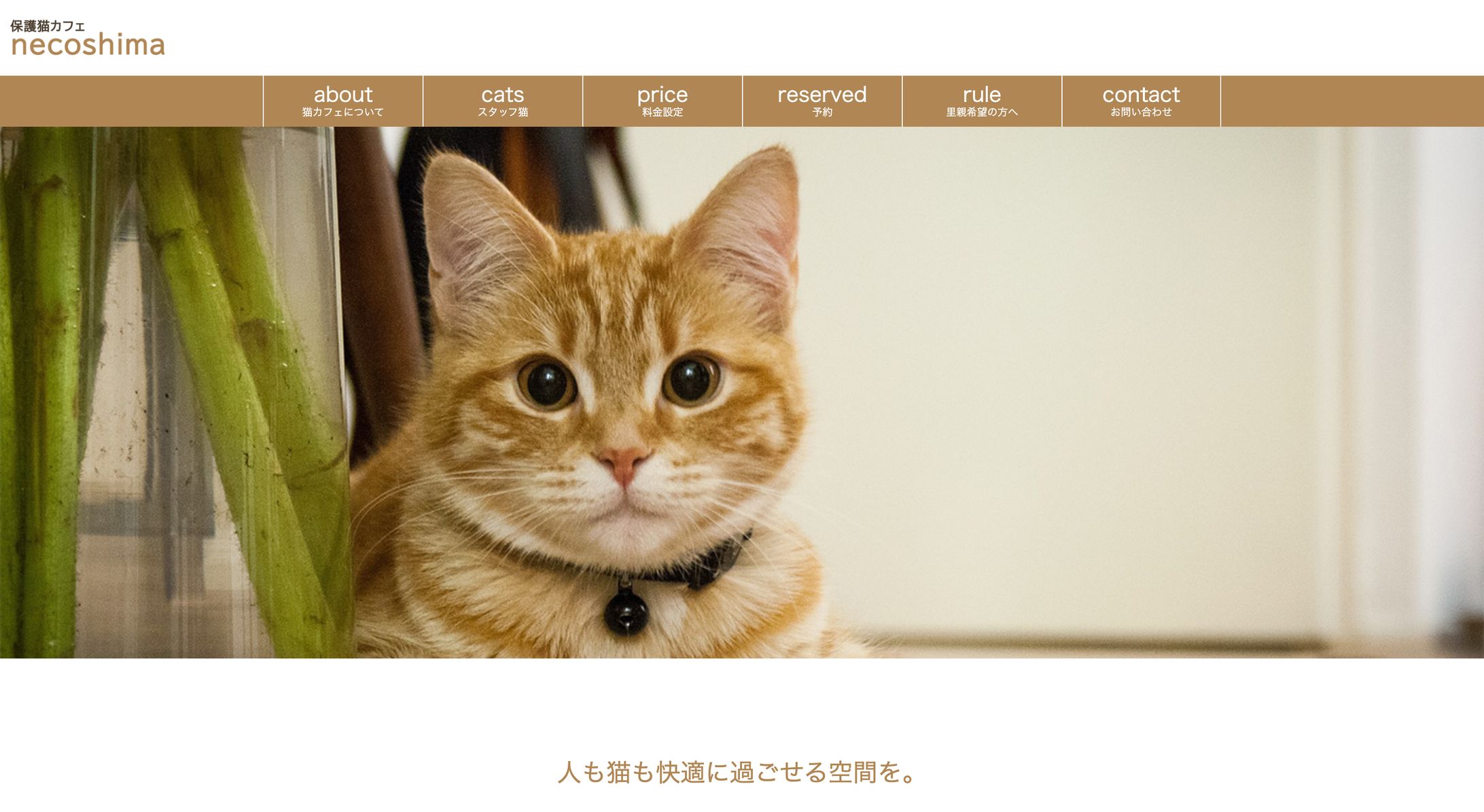 【サイト】架空の保護猫カフェ-1