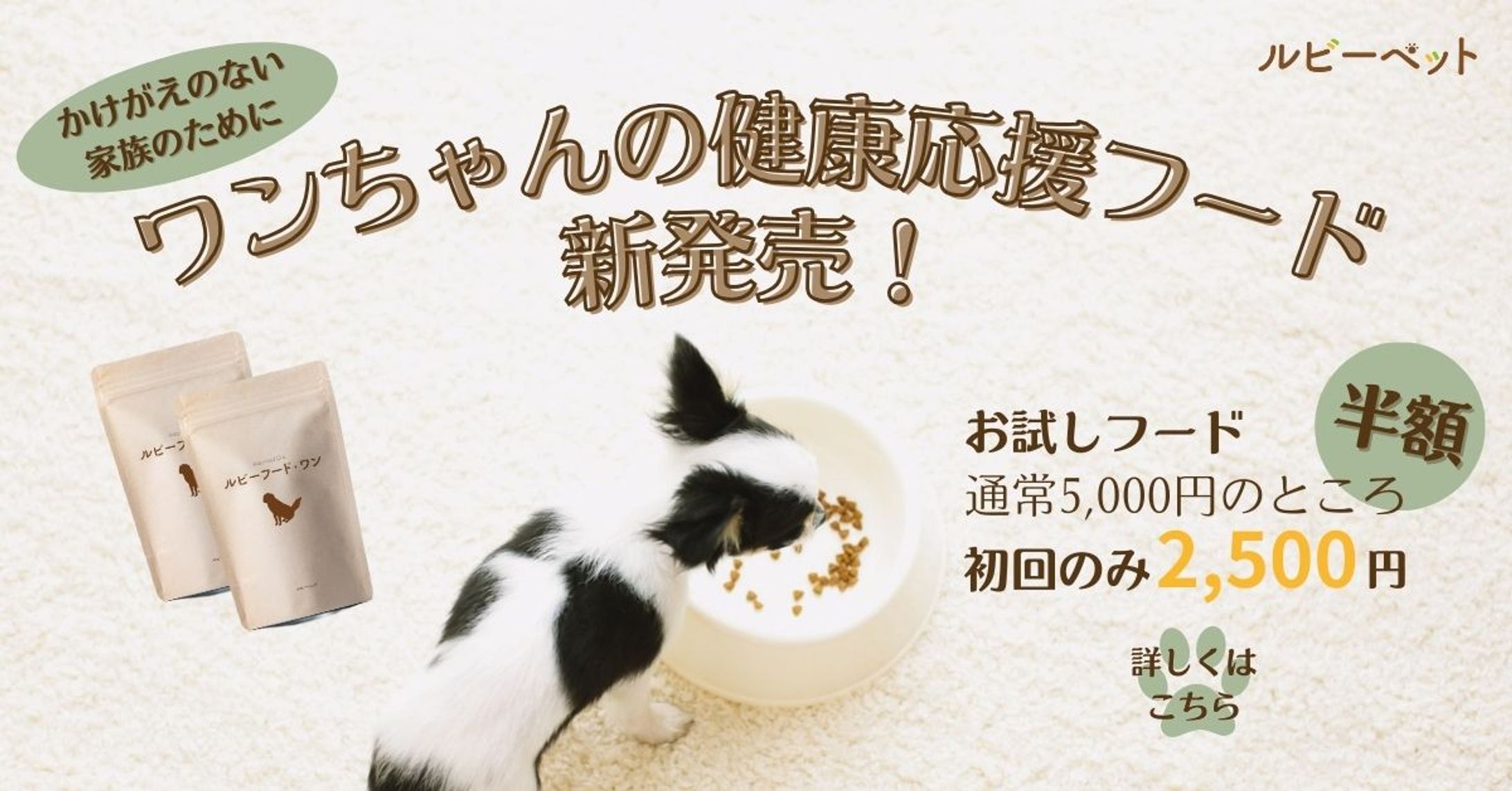 【架空案件】ルビーペット-1