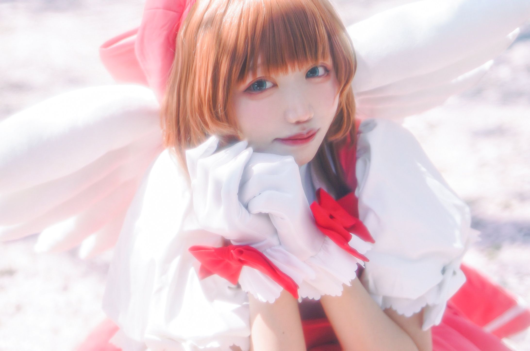 木之本桜-1