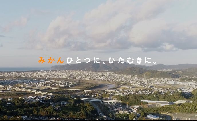 みかんひとつに、ひたむきに。