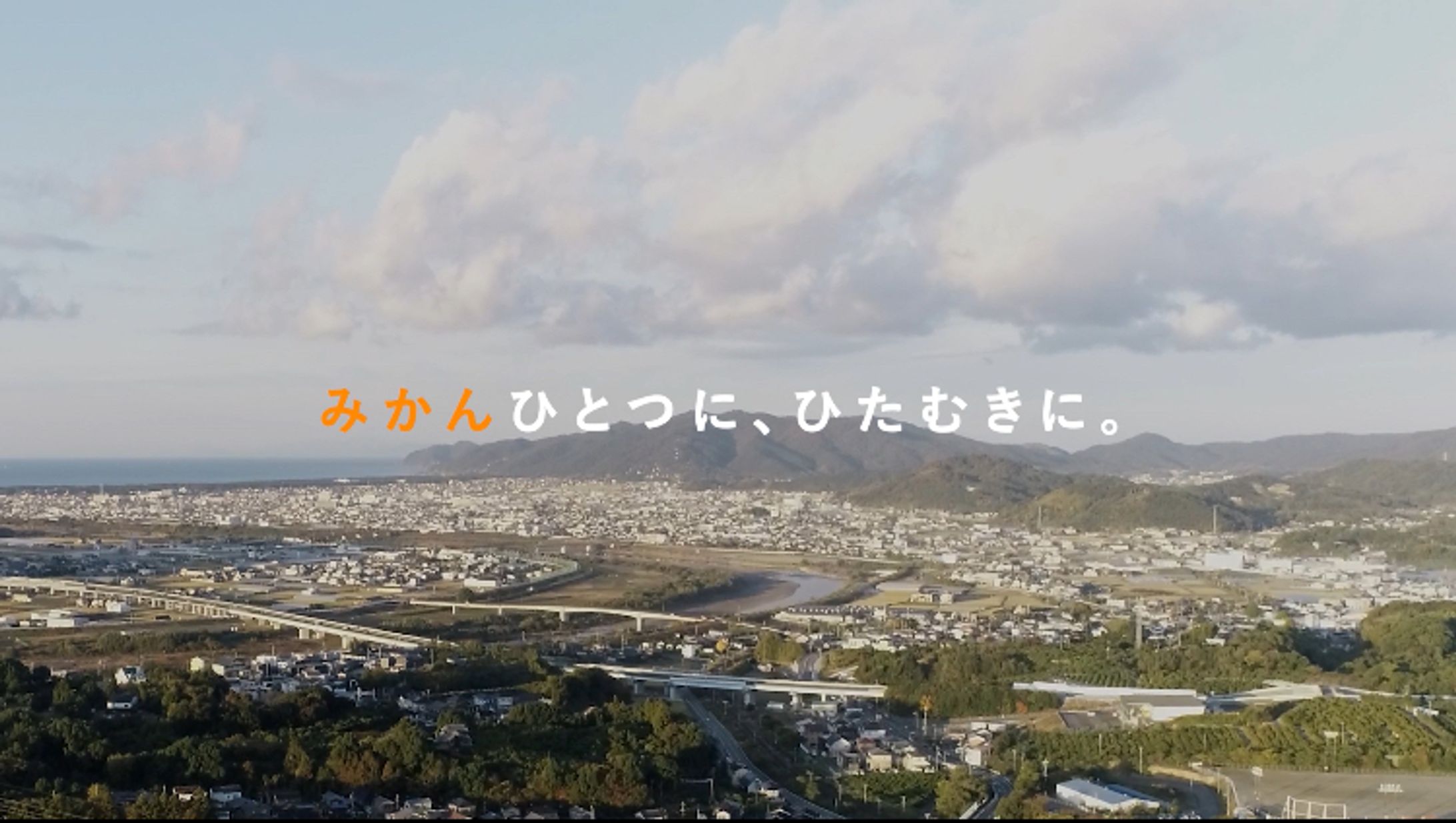 みかんひとつに、ひたむきに。-1