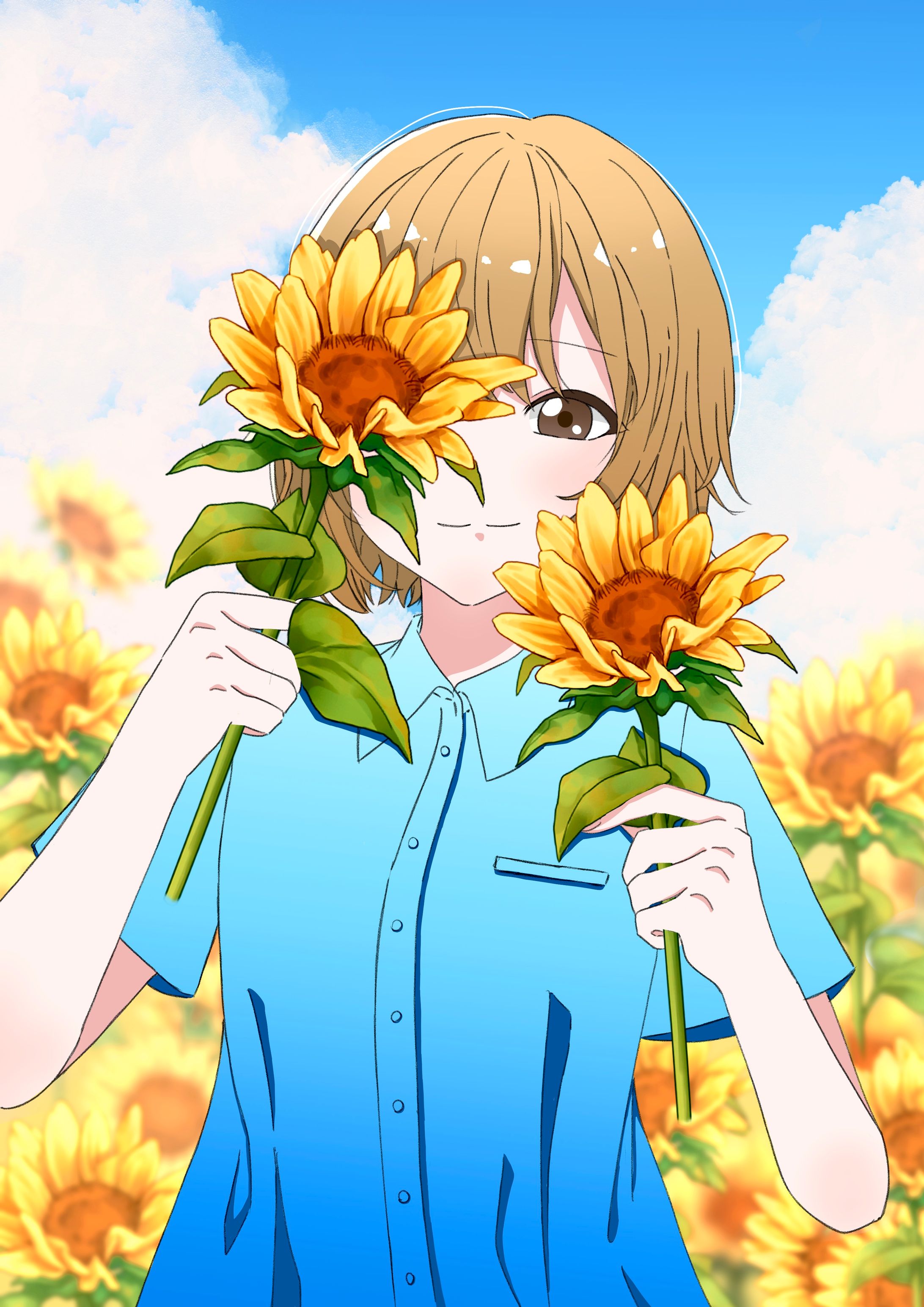 ひまわり-1