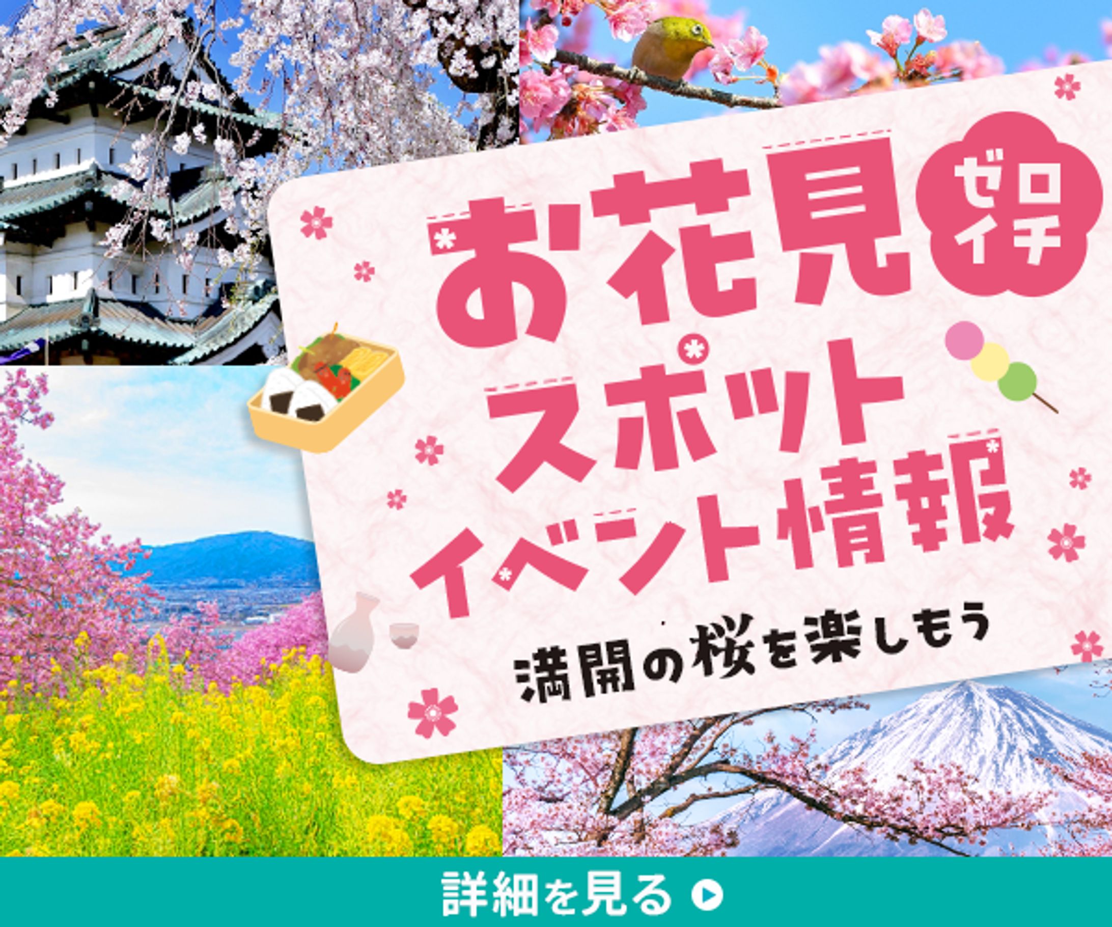 バナー|お花見イベント情報-1
