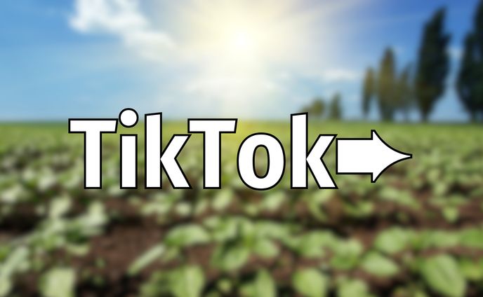 TikTokコンテンツ➨