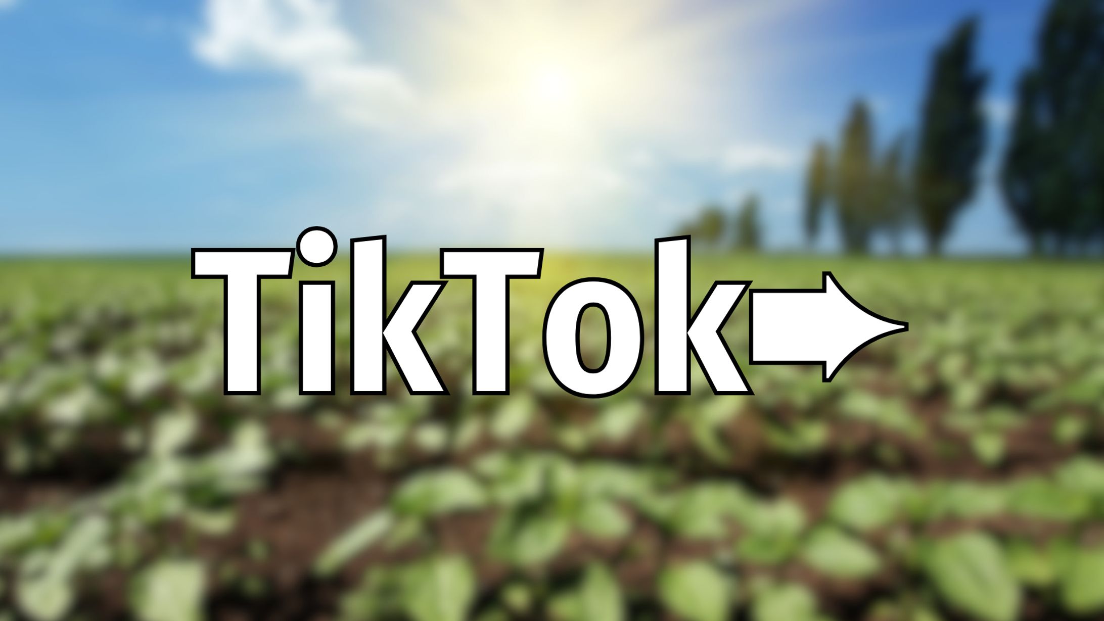 TikTokコンテンツ➨-1