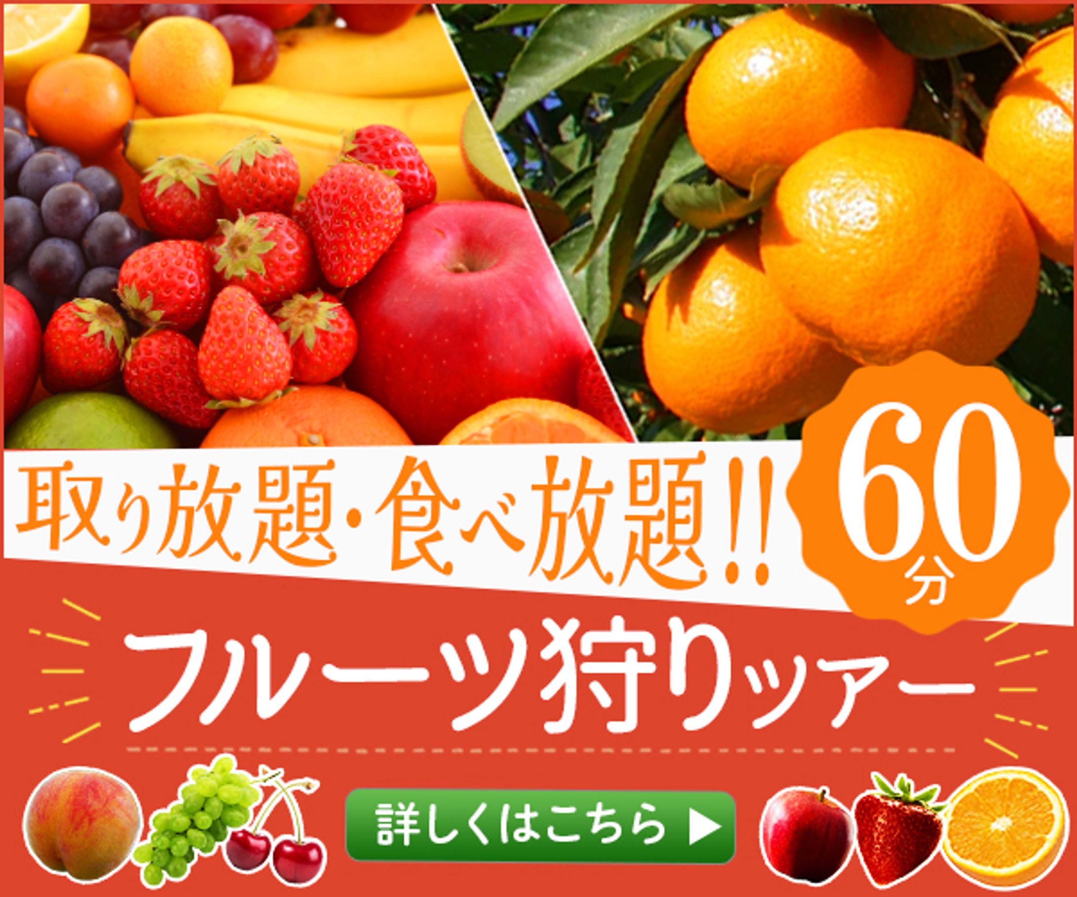 フルーツ狩り-1