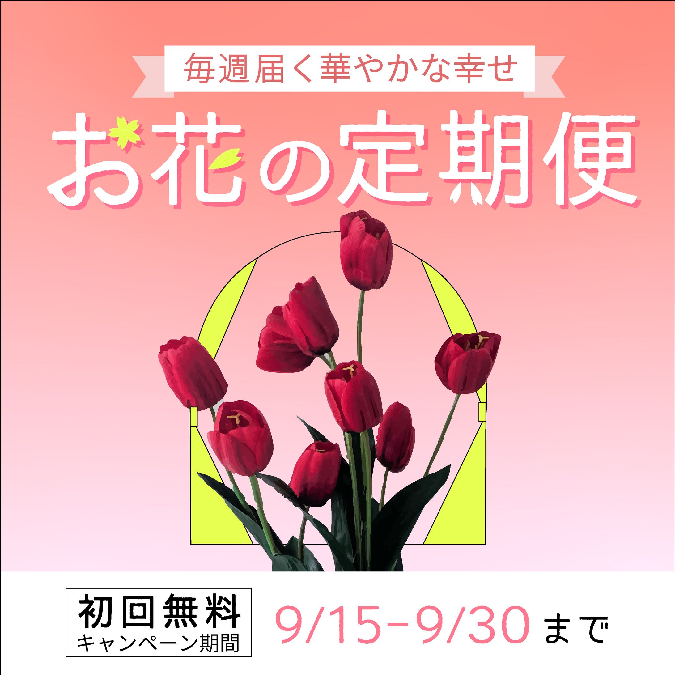 お花の定期便バナー-1