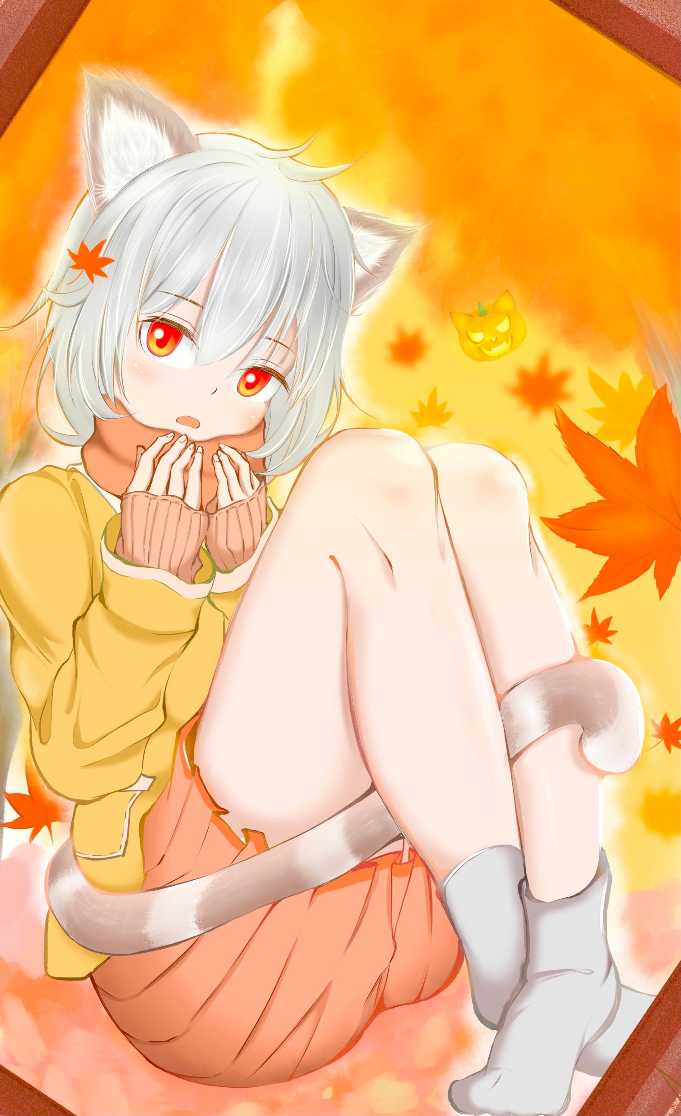 秋猫-1