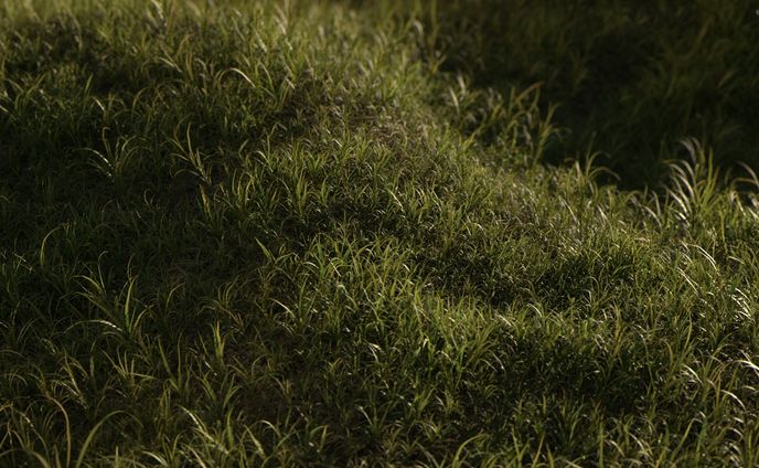 grass UE Test