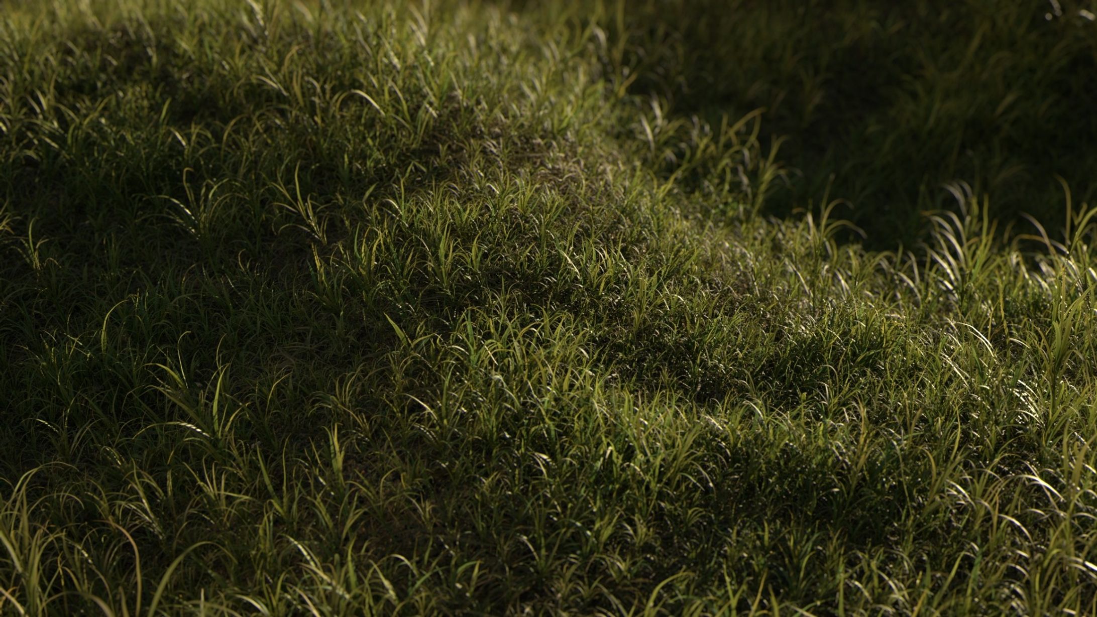 grass UE Test-1