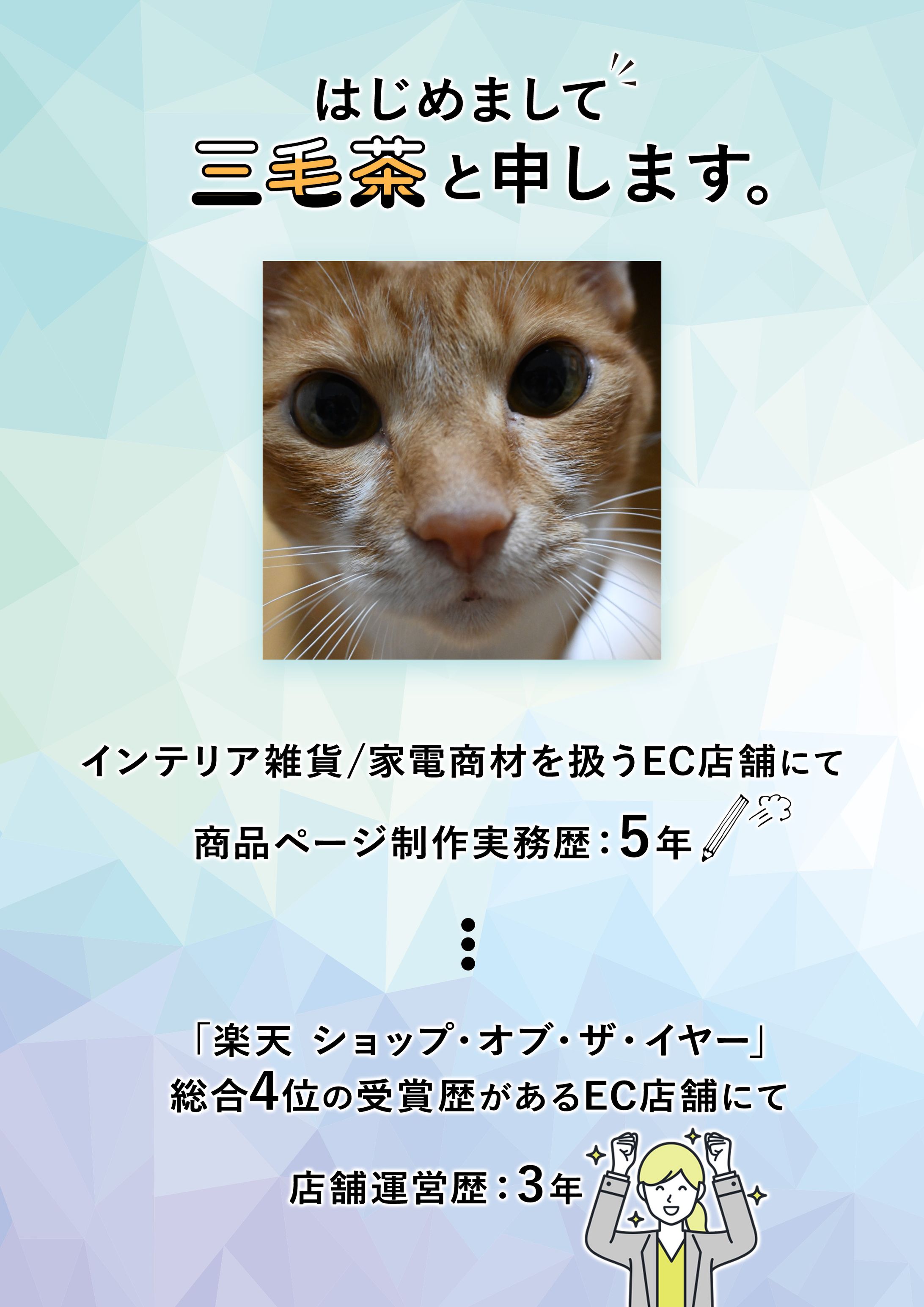 ポートフォリオ-1