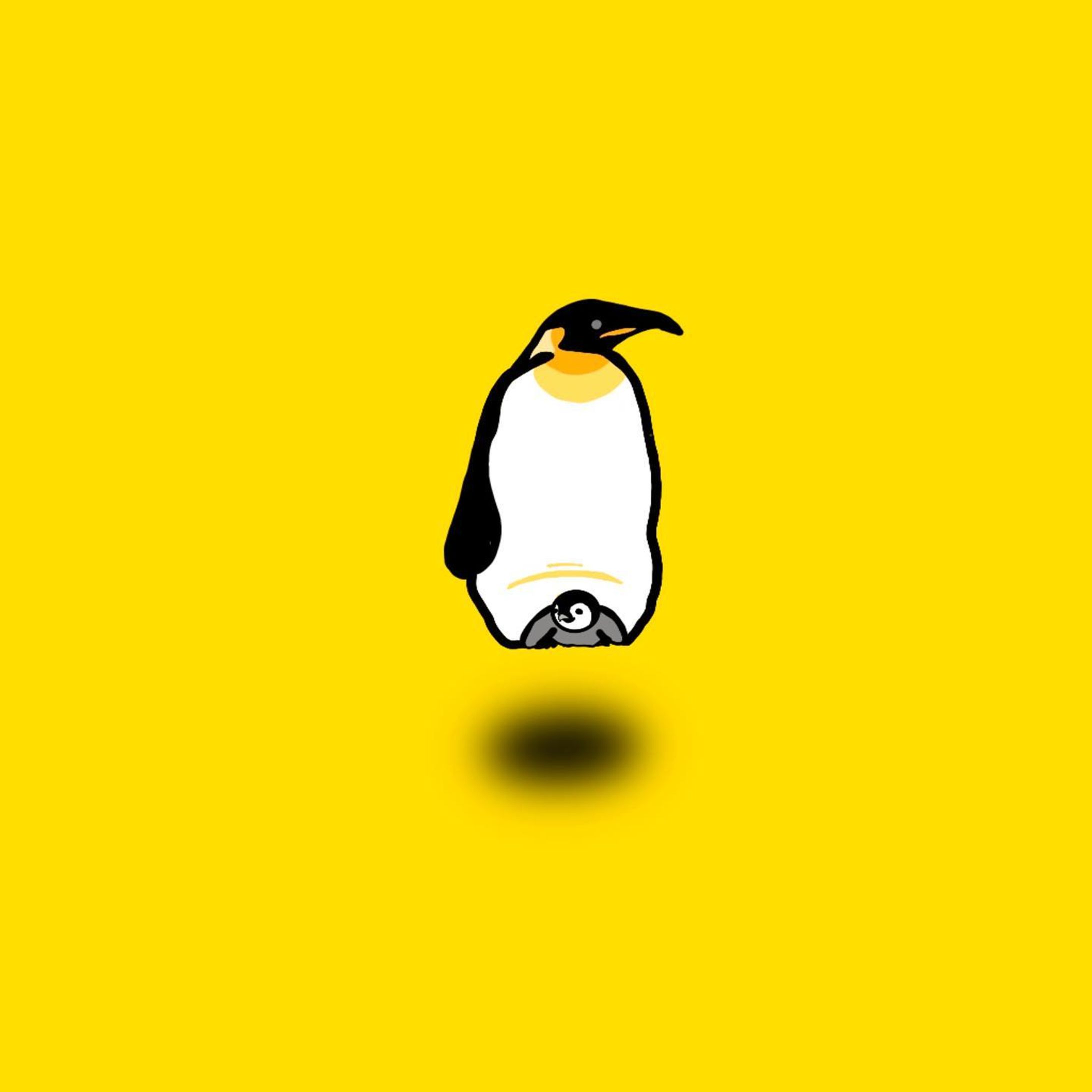 コウテイペンギン-1