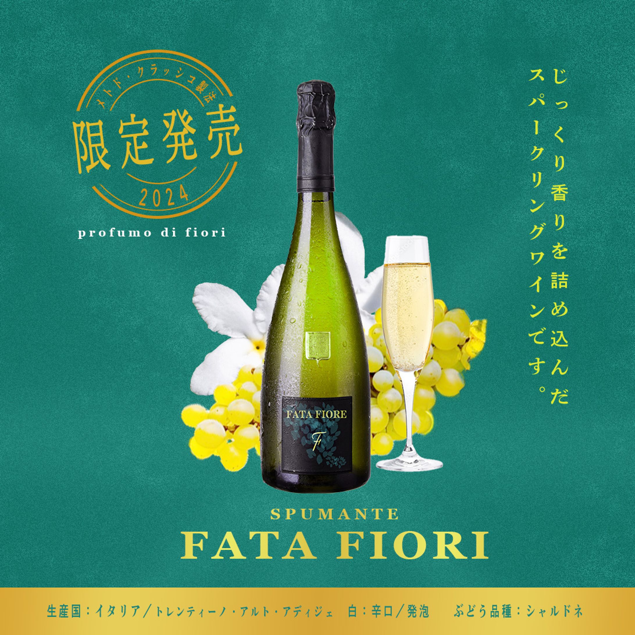 イメージ広告バナー1-1