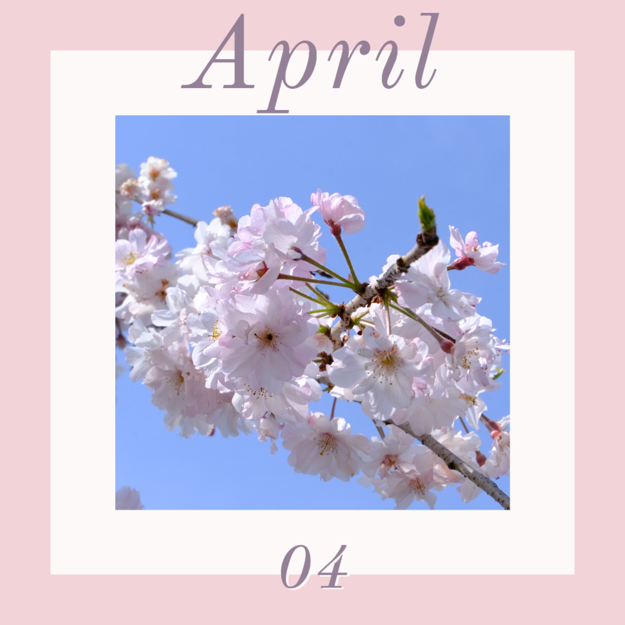 春のAdobeExpressチャレンジ　参加作品-1