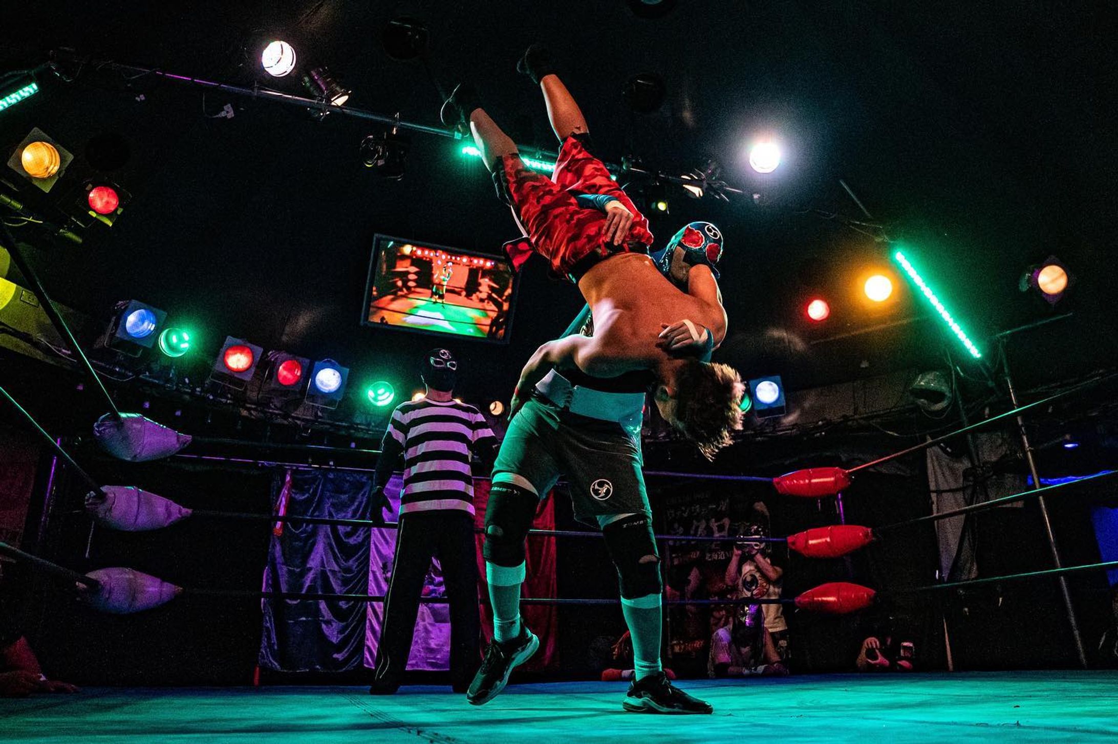 くじらさんの大きな身体から繰り広げられるボディスラムとMYWAY仕様のネオンスポットが合わさったら、もう勝ち確なのだよ。
2023.05.21 王子
#CaptainKujira 
#俺達のMYWAY-1