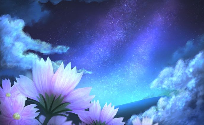 星空とコスモス