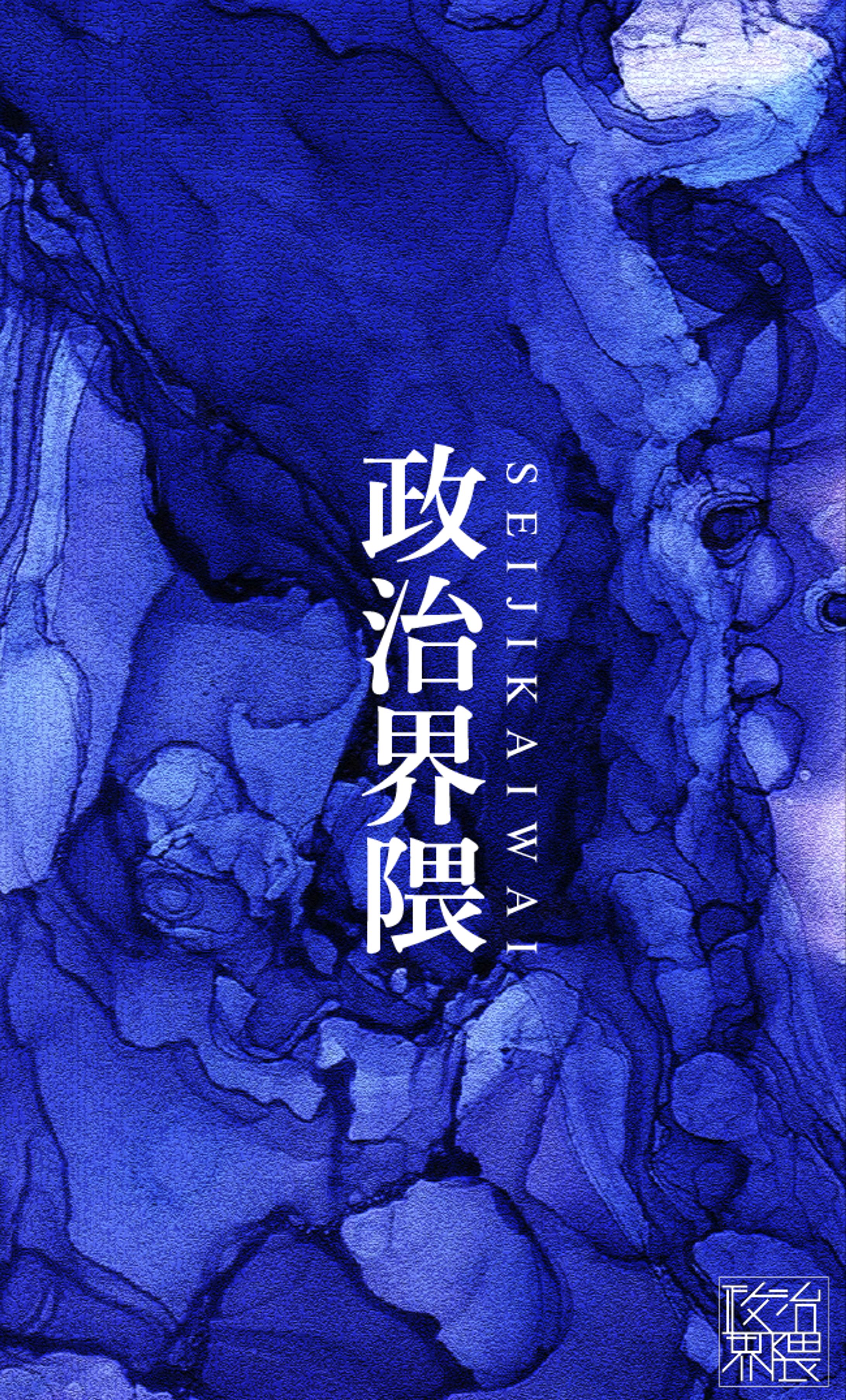 政治界隈チラシ-1