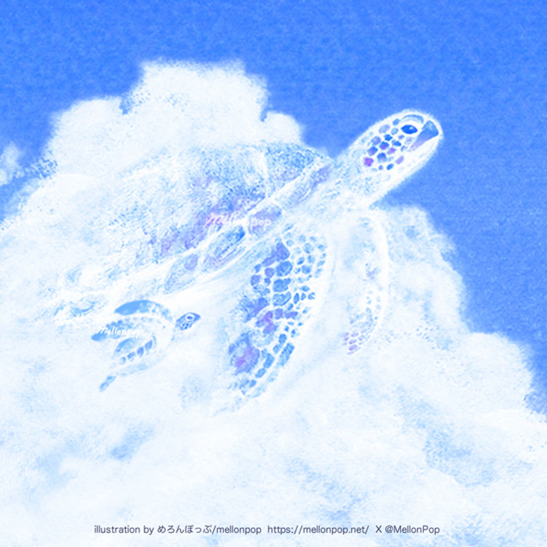 ウミガメ が泳ぐ夏空-1