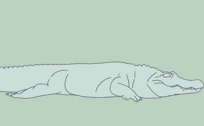 シンプルな動物の絵