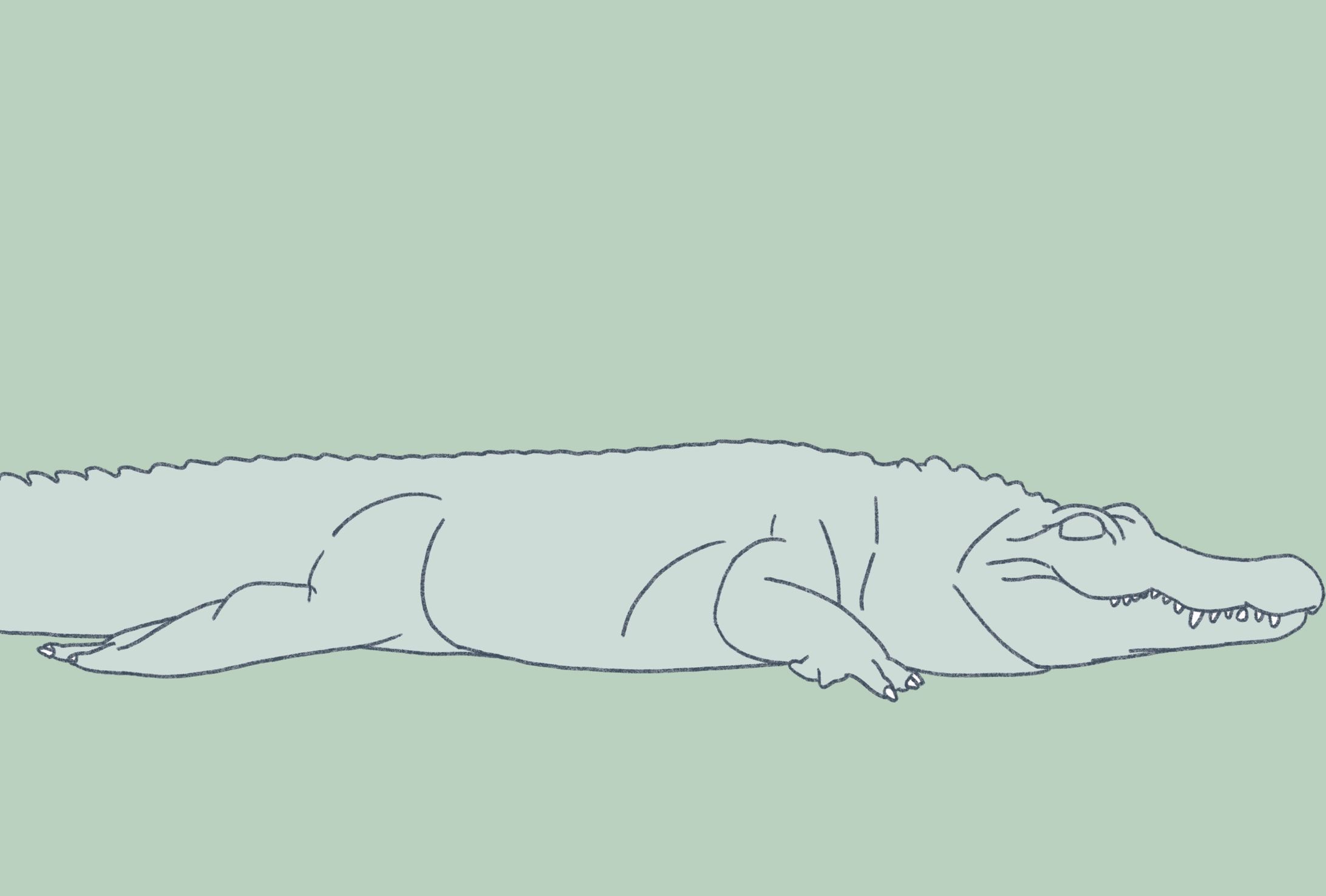 シンプルな動物の絵-1