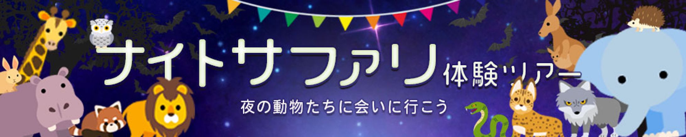 night safariバナー-1