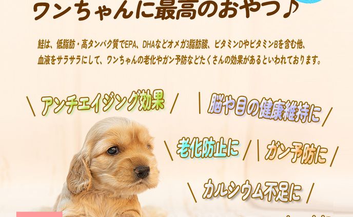 ペットフード LP制作1